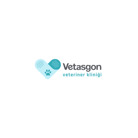 vetasgon-kartal-veteriner-klinigi-big-0